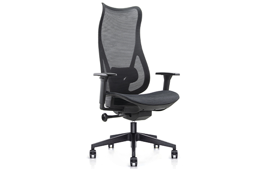 View_-_SFV22H2F__back_logo